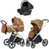 #Carrello VectorCoralBeige3v1